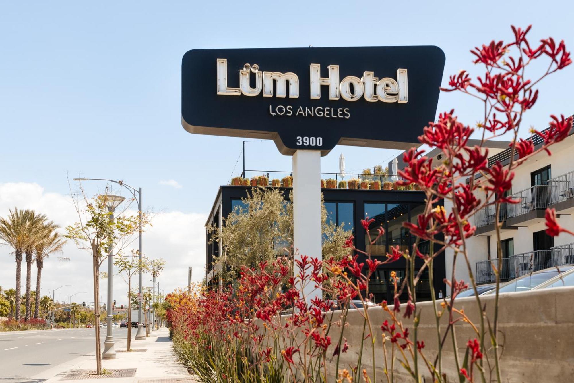 The Lum Hotel Los Angeles Stadium District 英格尔伍德 外观 照片